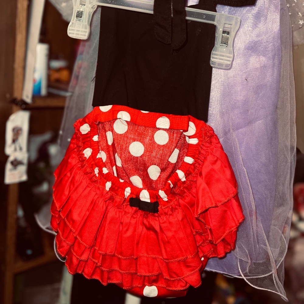 Minnie Mouse outfit